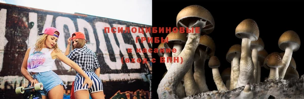 бошки Абаза