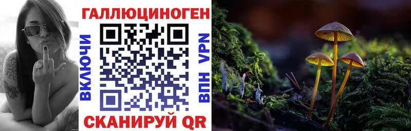 Псилоцибиновые грибы прущие грибы  Туринск 
